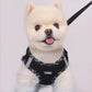 White dog wearing a black harness with a visible brand logo on a light gray background