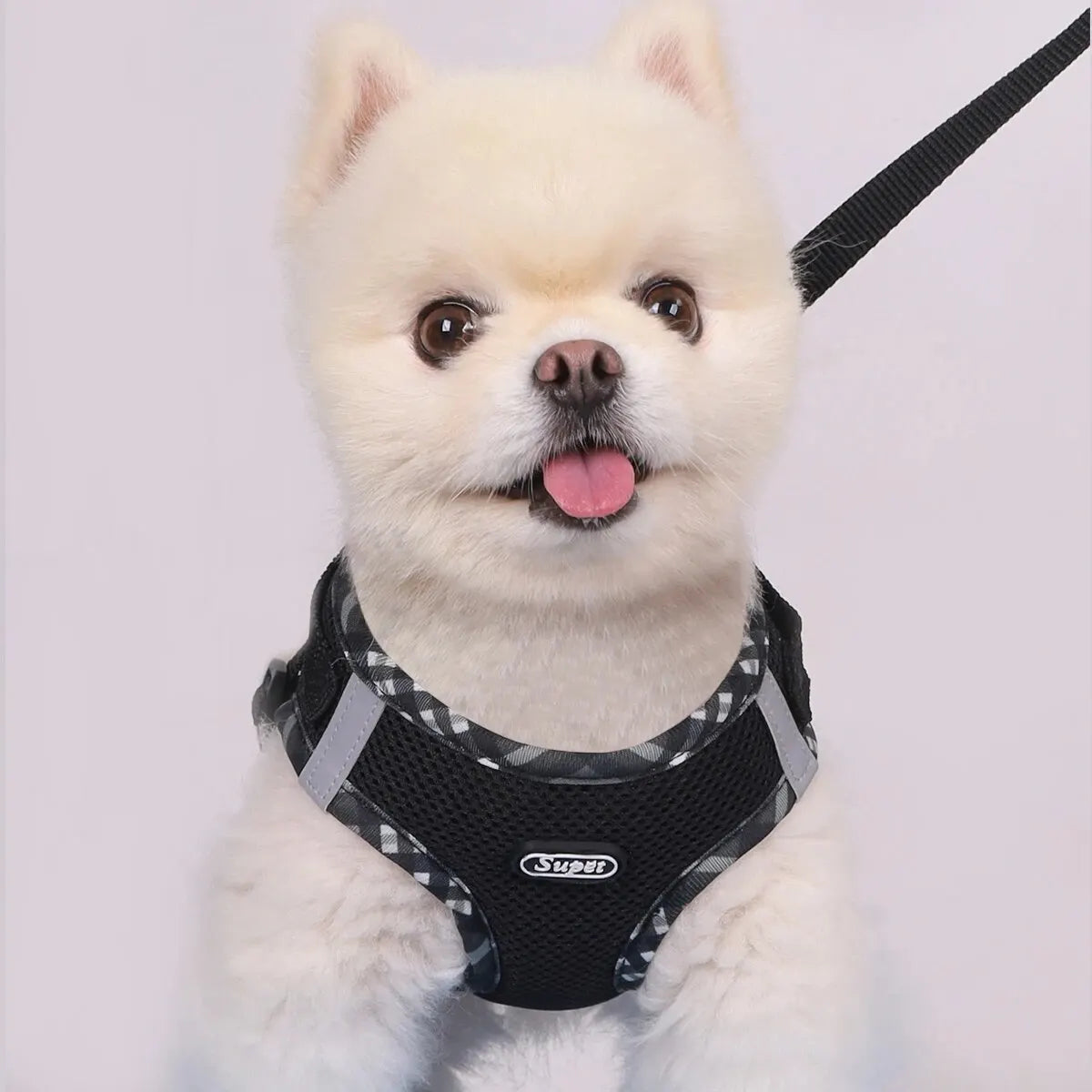 White dog wearing a black harness with a visible brand logo on a light gray background