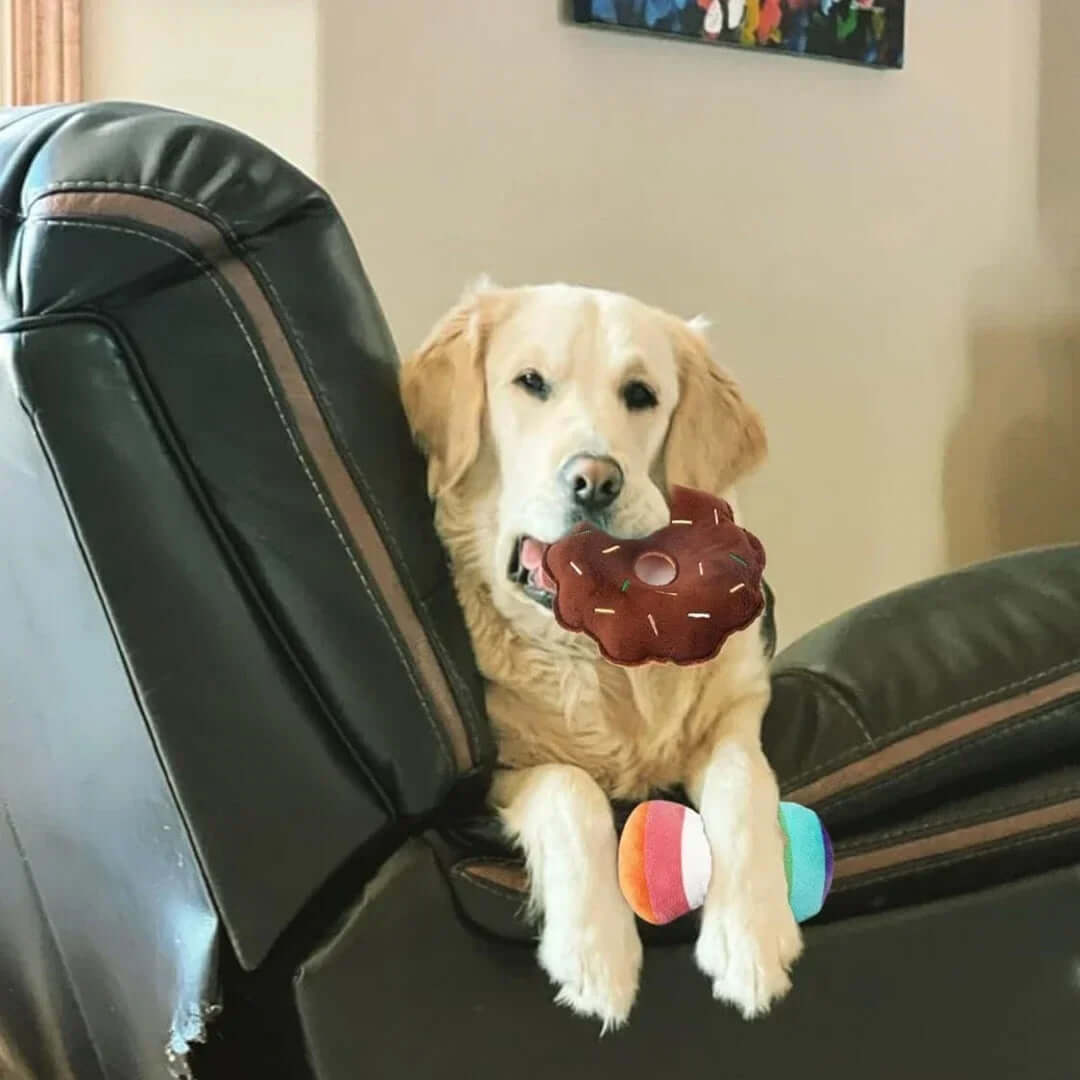 Dog holding a donut-shaped toy in a car seat