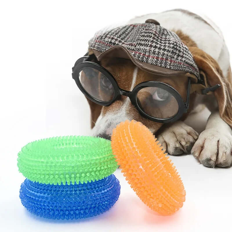 Dog wearing glasses and a cap with three textured balls in front