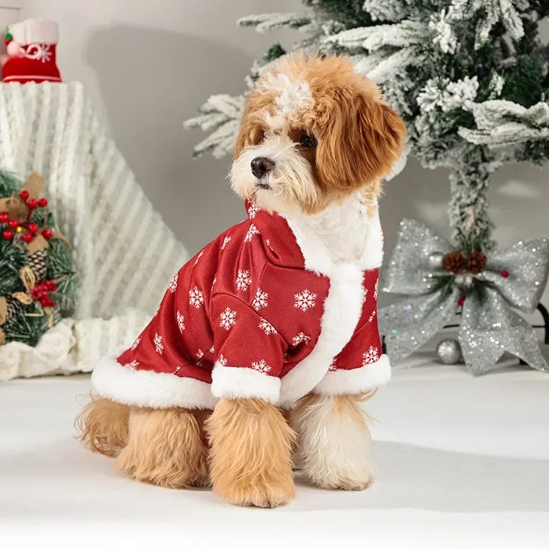 Dog wearing a red Christmas sweater with snowflakes in front of a decorated Christmas tree.