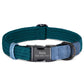 Teal and blue braided dog collar with engraved nameplate on a white background