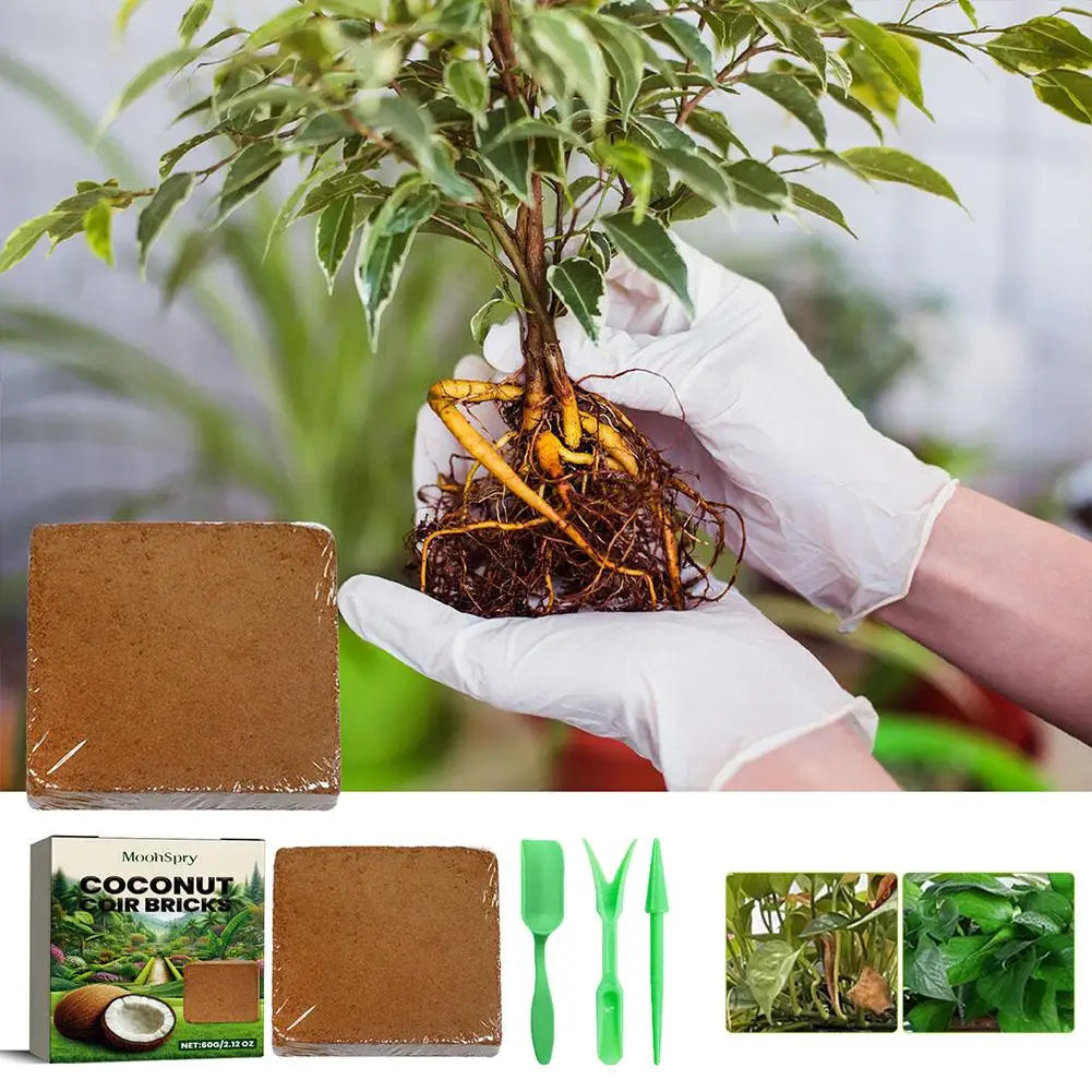 Reptile Coconut Soil Coir Pressed Coconut Fiber Substrate Lizard Tortoise Reptile Bedding Soil Reptile Terrarium Bottom Supplies