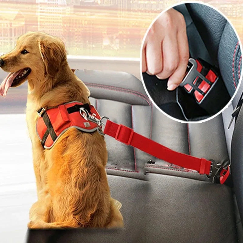 Dog wearing a red harness with a car seat belt, sitting in a car.