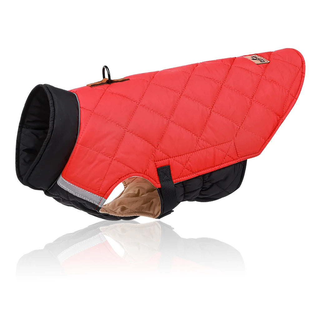 Red quilted dog coat with black trim on a white background