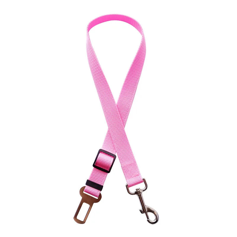 Pink dog leash with metal clip and carabiner on a white background