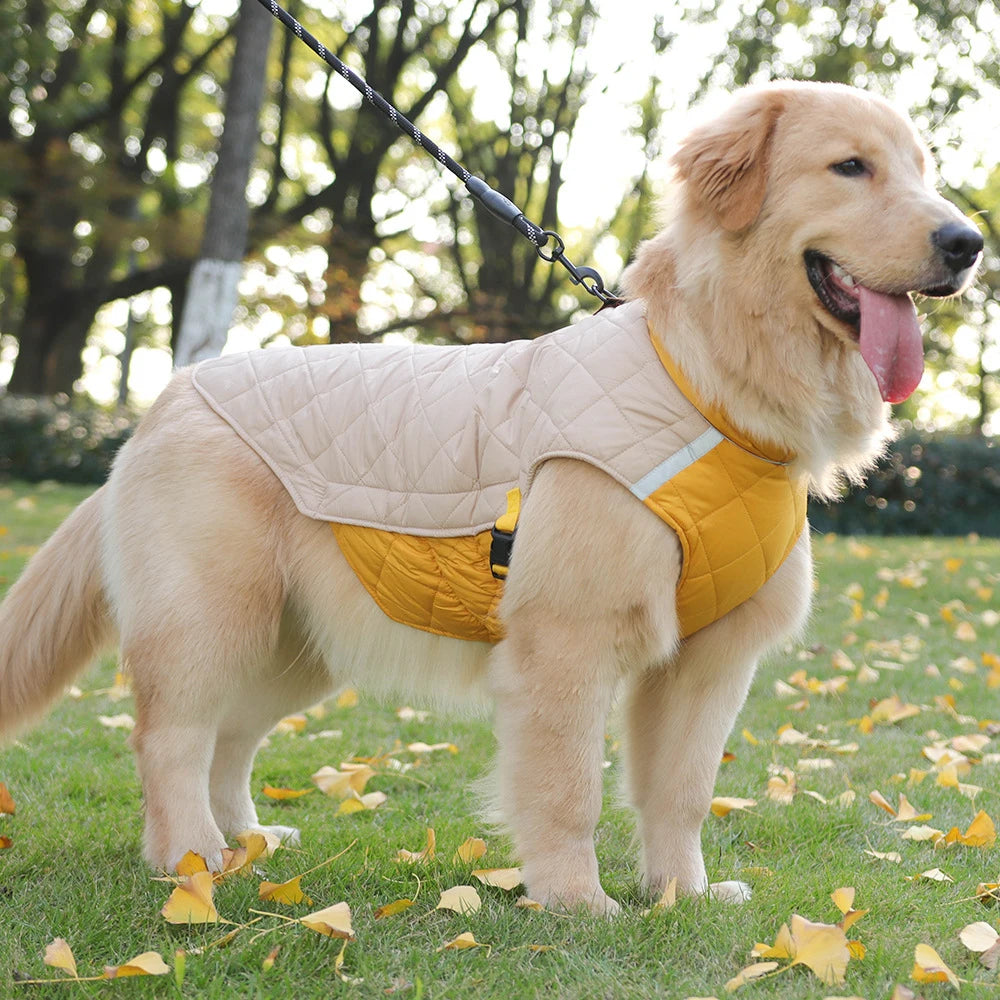 Dog wearing a yellow and beige quilted jacket standing on grass with trees in the background