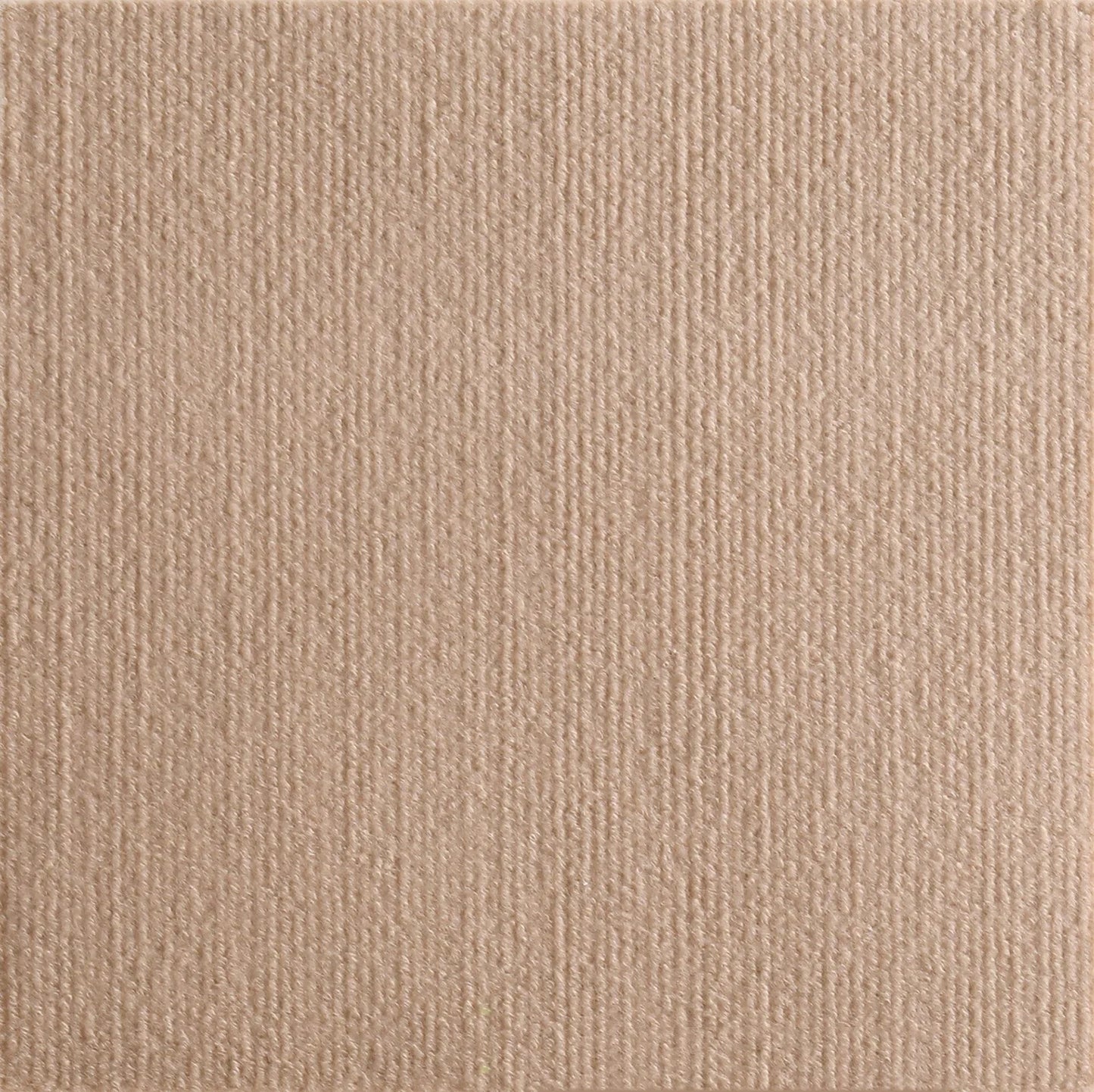Beige fabric texture swatch
