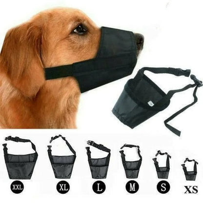 Dog muzzle with size chart on a white background
