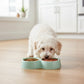 Cat Bowls Double Food Water Feeder Non-Slip Pet Feeding Dish Durable Pet Supplies