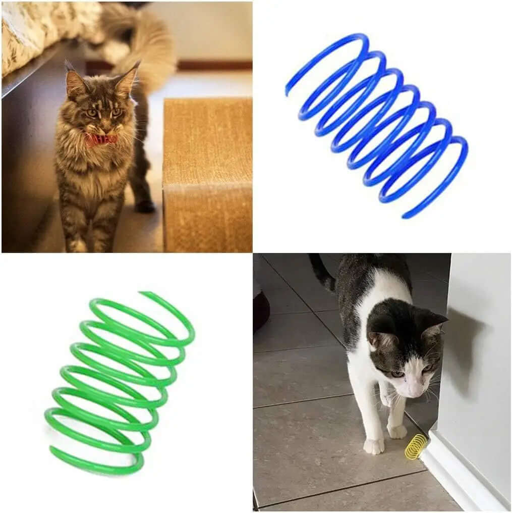 Collage of a cat playing with a cardboard box, blue spring, green spring, and a cat investigating a yellow spring toy.