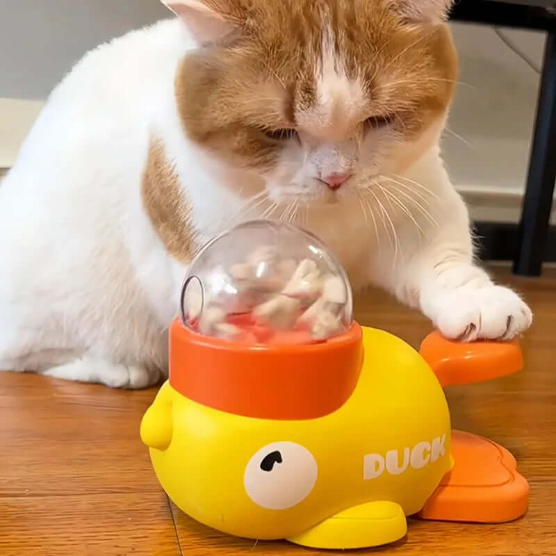 Cat playing with a yellow duck-shaped toy on a wooden floor.