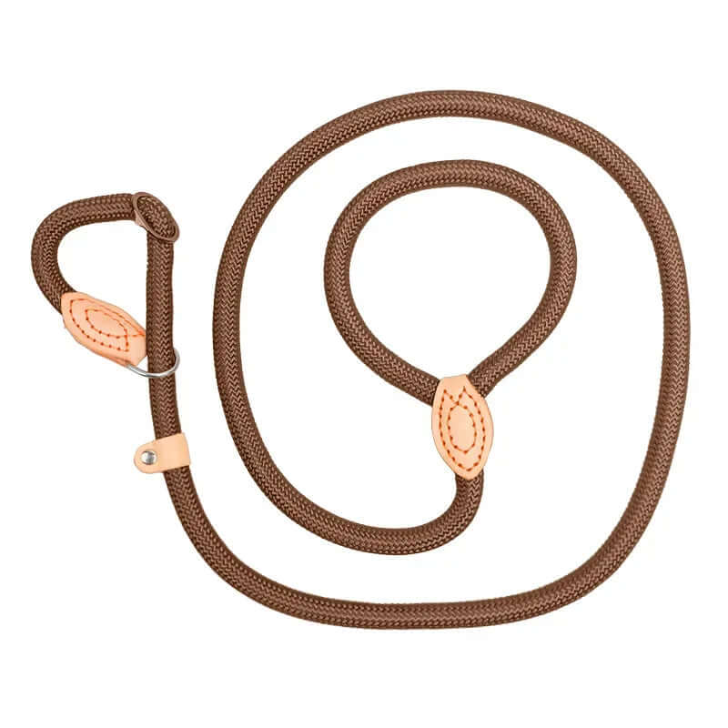 Brown dog leash with rose gold hardware on a white background