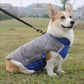 Dog wearing a gray and blue quilted jacket standing on grass with a blurred background