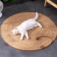 White cat lying on a round woven mat with a brown handle on a dark tiled floor.