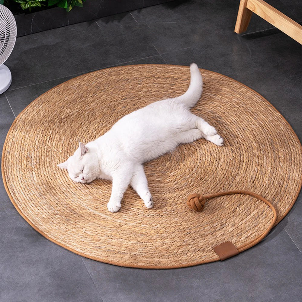 White cat lying on a round woven mat with a brown handle on a dark tiled floor.