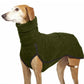 Dog wearing a green coat on a white background