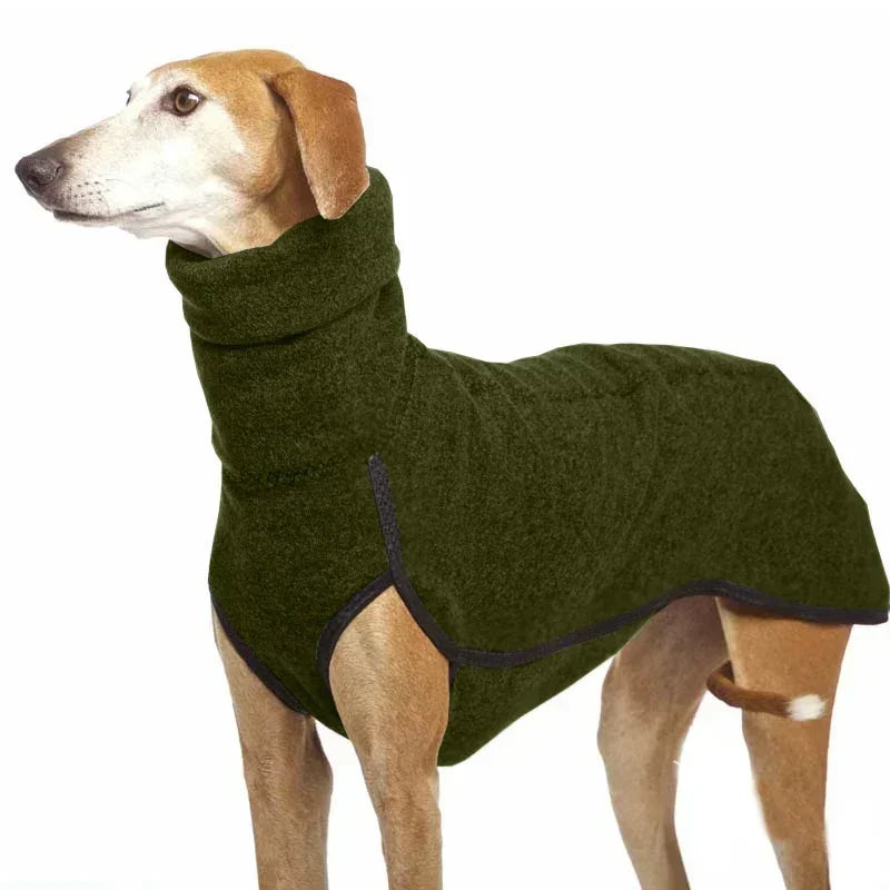 Dog wearing a green coat on a white background