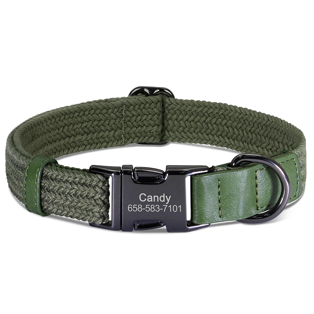 Green dog collar with a black engraved tag on a white background