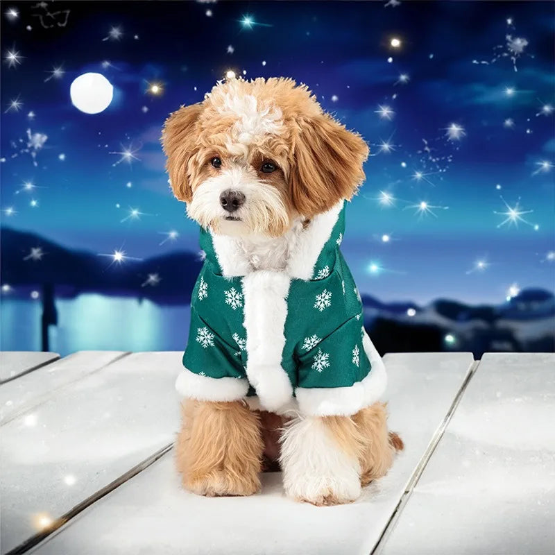 Dog wearing a green snowflake sweater with a night sky and moon background