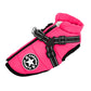Pink dog harness with black straps on a white background
