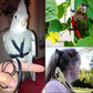 Collage of a parrot on a perch, a flower, and a person with a parrot on their shoulder.