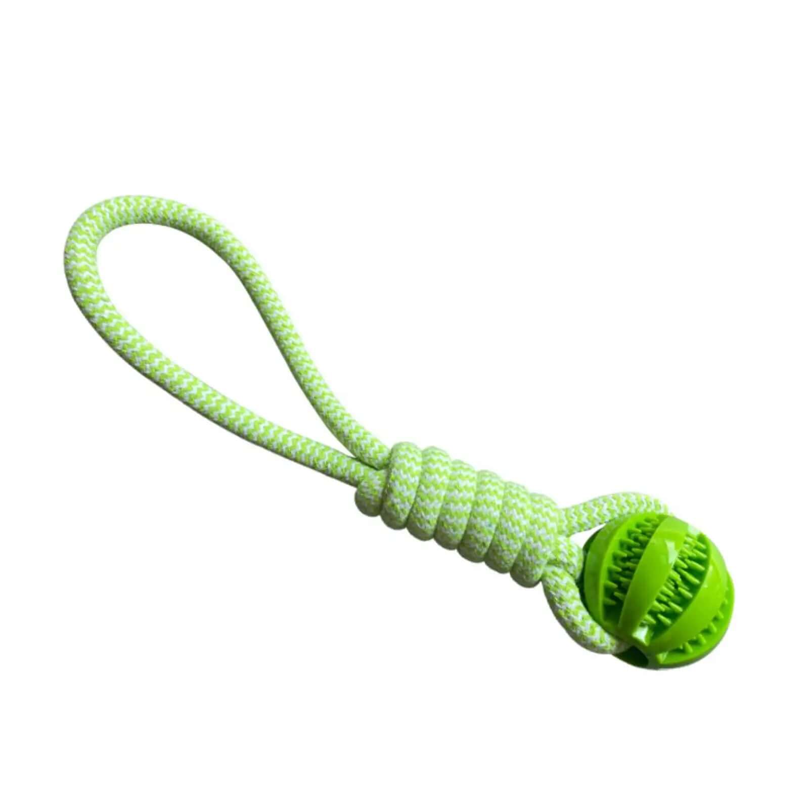 Green dog toy with a rope and ball on a white background