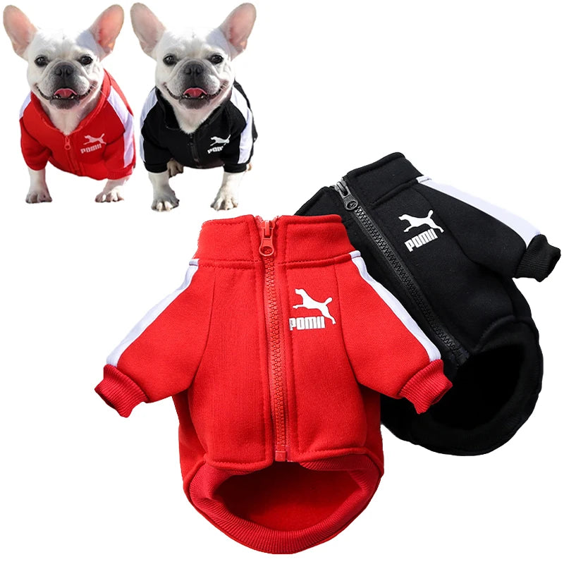 Two dogs wearing red and black Puma dog jackets on a white background.