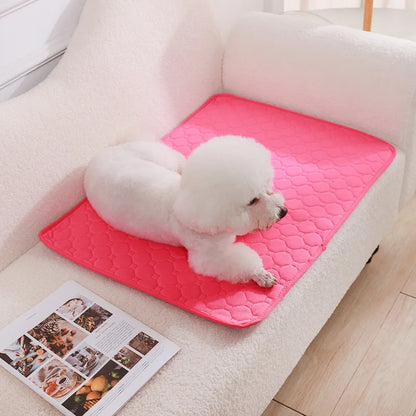 Small white dog lying on a pink quilted mat on a light-colored couch.