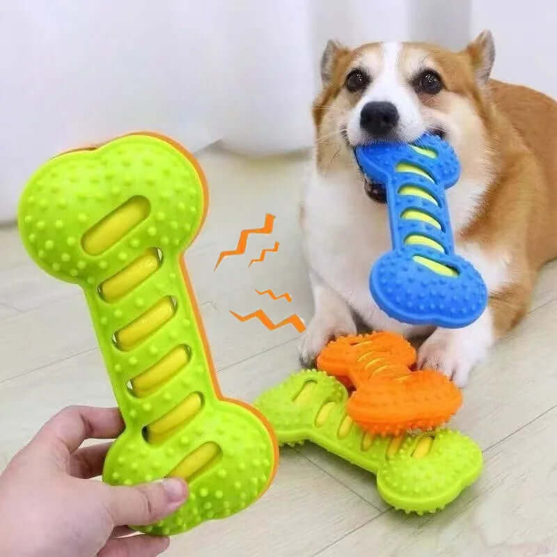 Dog playing with a green and blue bone-shaped chew toy on a light wooden floor.