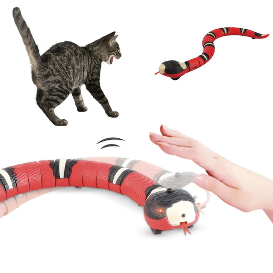 Cat playing with a red and black striped toy snake on a white background
