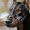 Dog wearing a muzzle with a blurred background