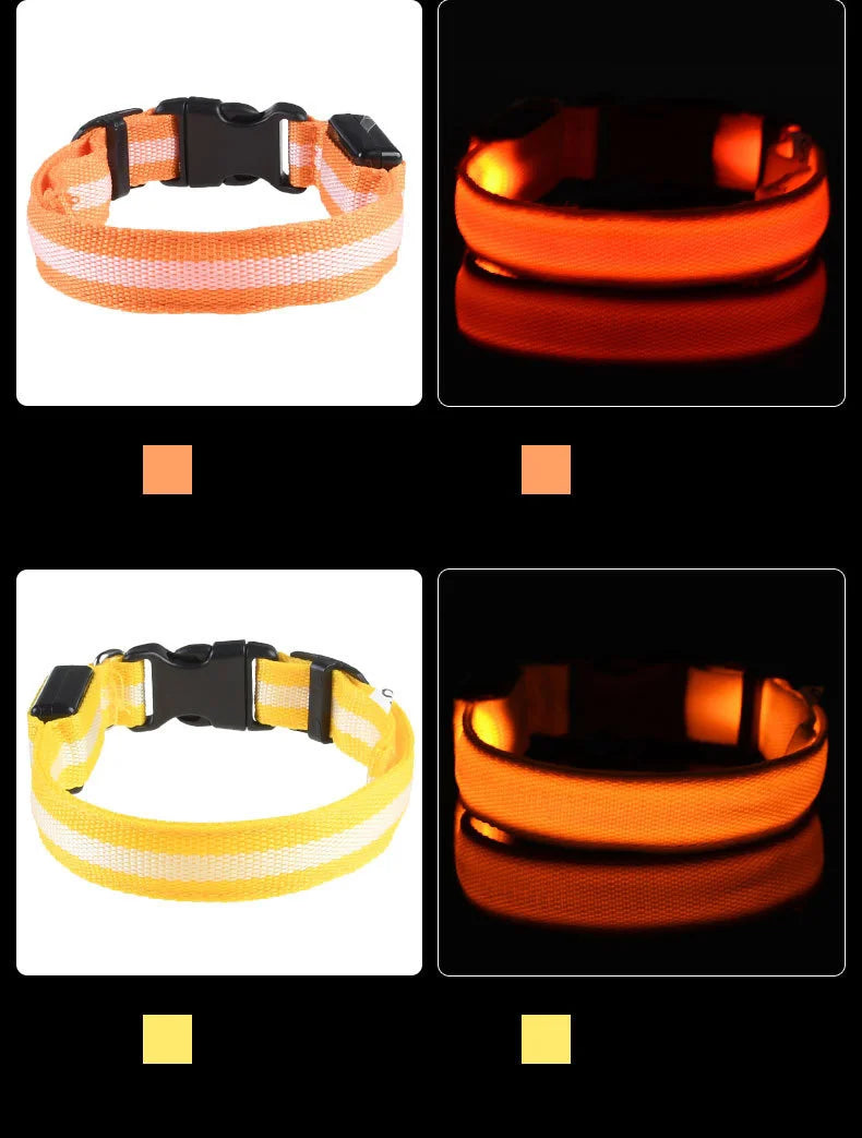 Collar with LED lights in orange, red, and yellow on a black background