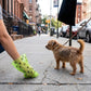 Dog on a leash standing on a sidewalk next to a person picking up after the dog, using a poop  green paw-printed poop bag.