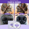 Before and after showing the effect of paw and nose balm on a dog's paws and nose.