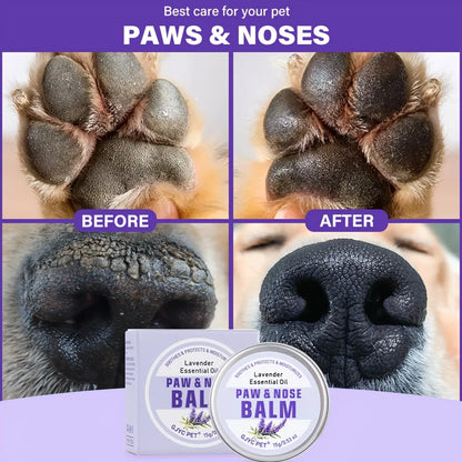 Before and after showing the effect of paw and nose balm on a dog's paws and nose.