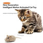 Cat toy with a kitten and a toy mouse on a white background