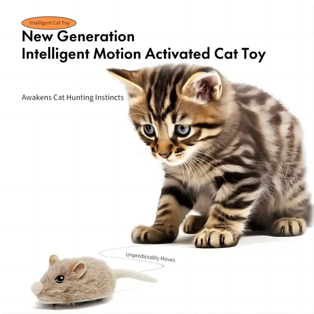 Cat toy with a kitten and a toy mouse on a white background