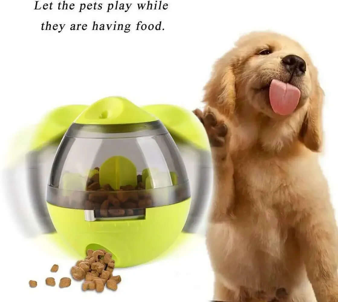 Dog playing with a green and clear ball-shaped pet toy with food inside, next to a golden retriever.