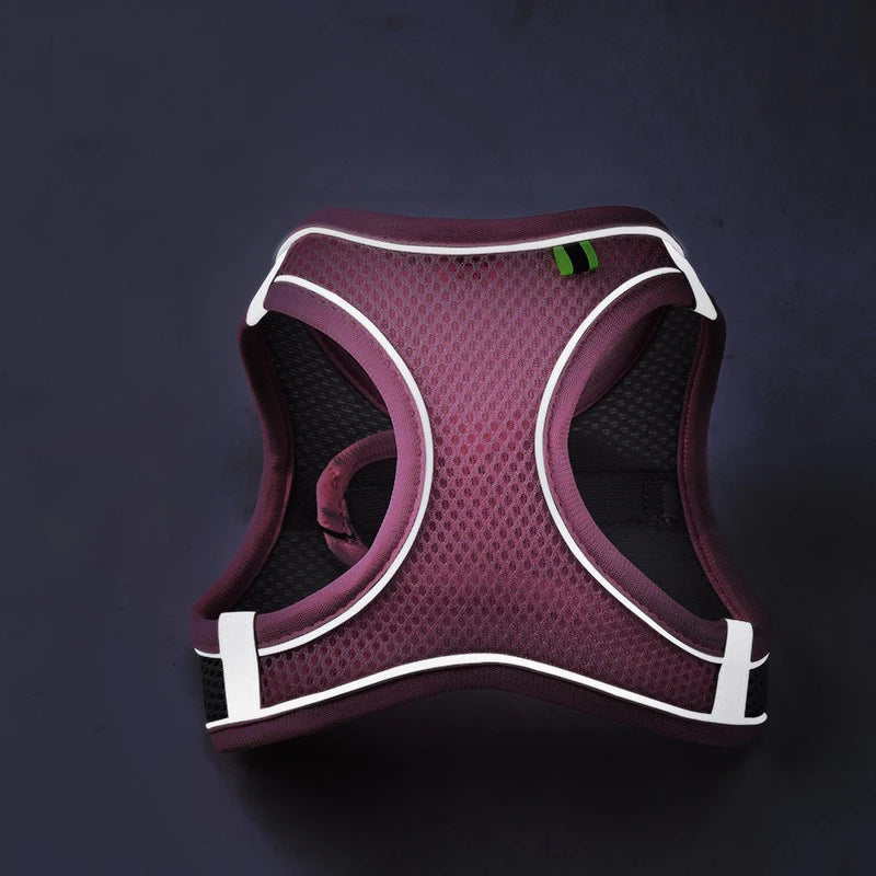 Purple dog harness with white accents on a dark background