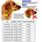 Dog measurement chart with illustrations and text on how to measure a dog's head circumference and length.