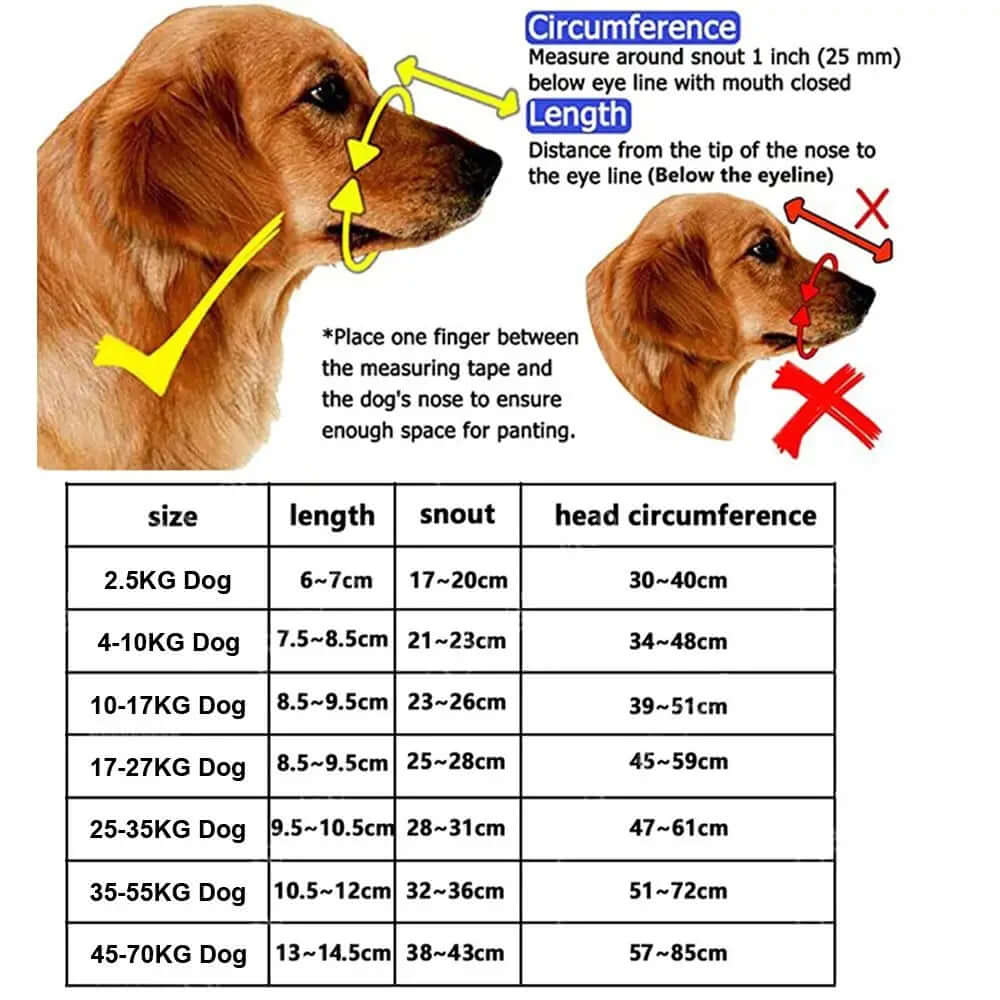 Dog measurement chart with illustrations and text on how to measure a dog's head circumference and length.