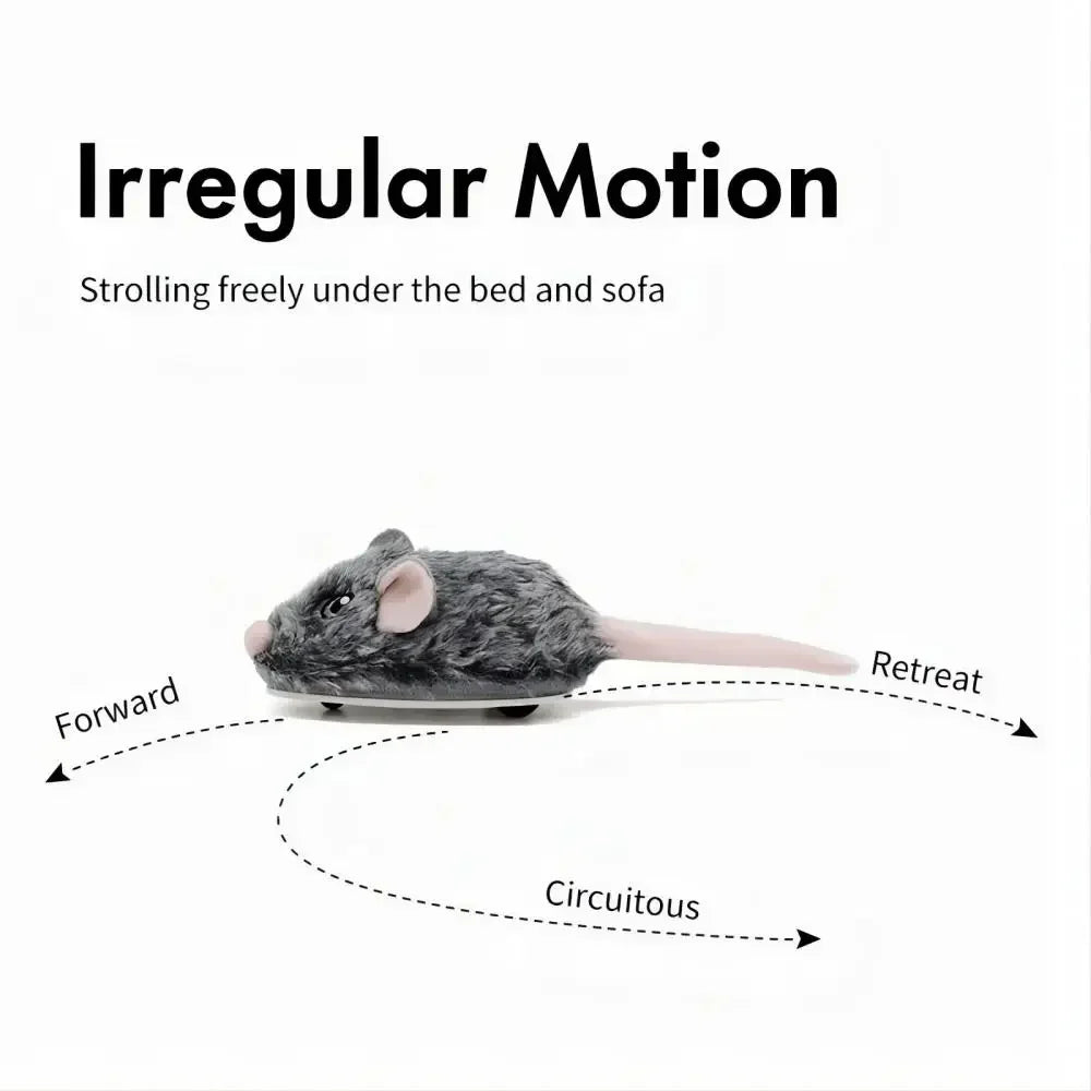 Toy mouse with text explaining its motion and usage
