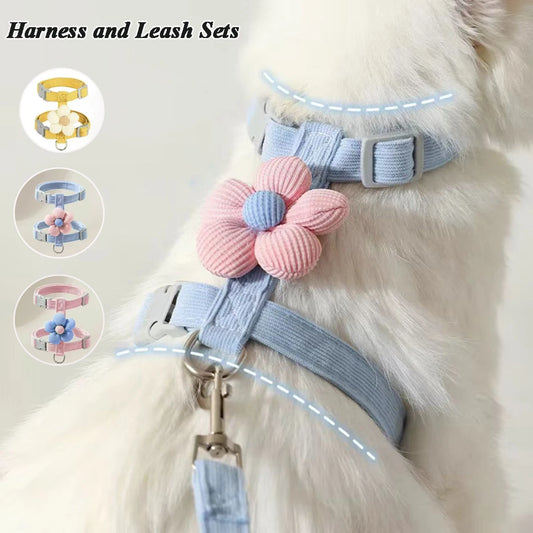 Pet harness and leash set with floral design on a soft background