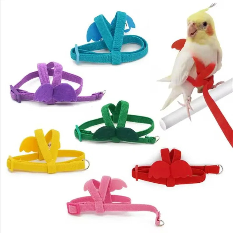 Colorful bird harnesses with a parrot on a perch