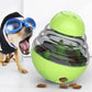 Dog wearing goggles next to a green and silver ball-shaped pet toy with treats inside.
