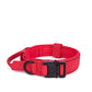 Red dog collar with a black buckle on a white background
