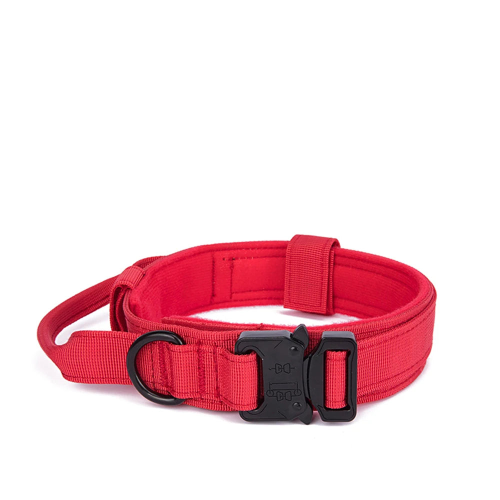 Red dog collar with a black buckle on a white background