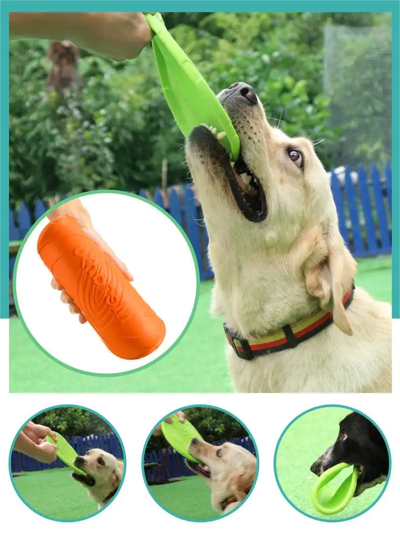 Dog playing with a green and orange toy outdoors