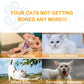 Promotional graphic for cat care products with images of a cat being cleaned, a white cat, a cat outdoors, and a yawning cat. Text suggests solutions to cat boredom and behavior issues.